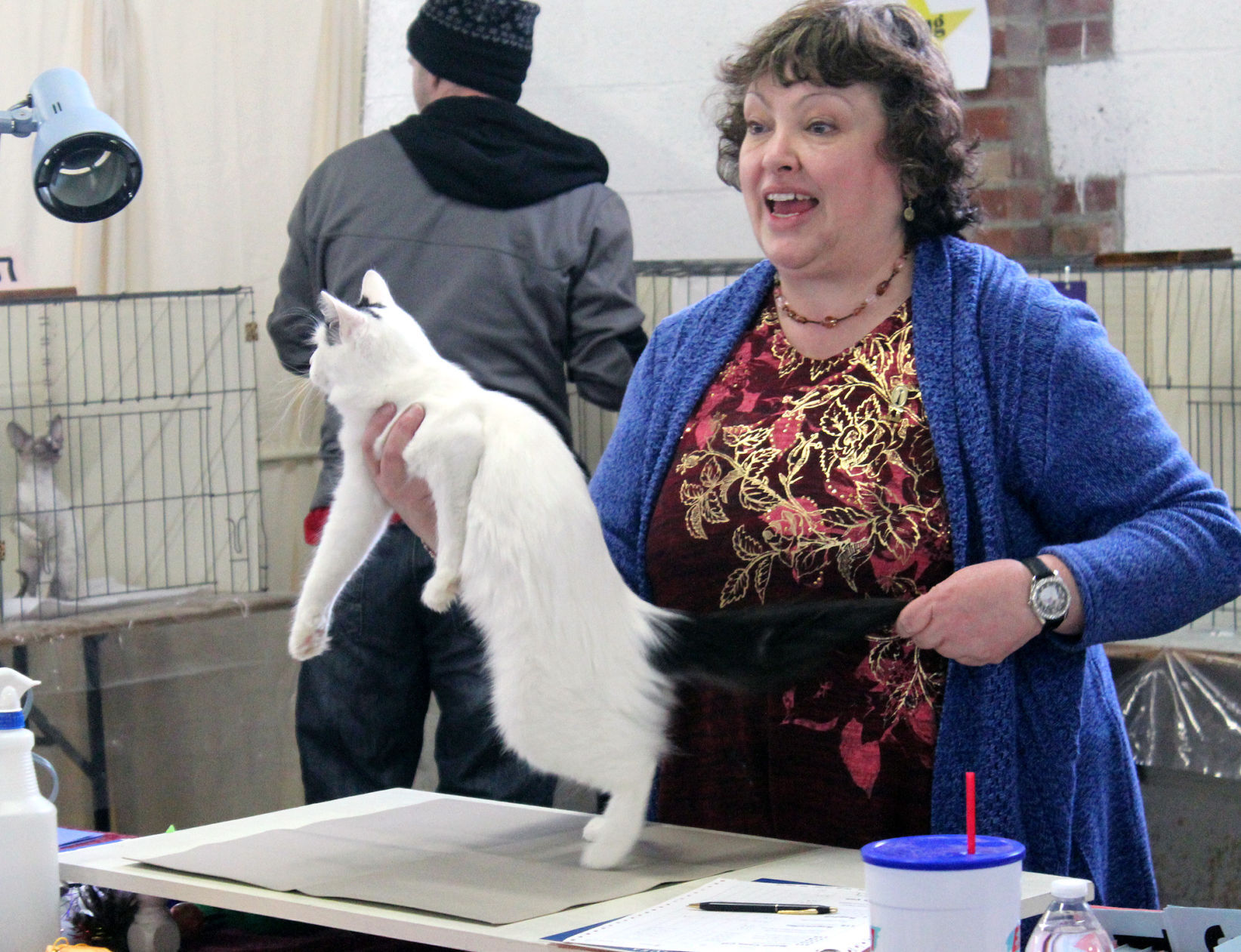 Cat show judge